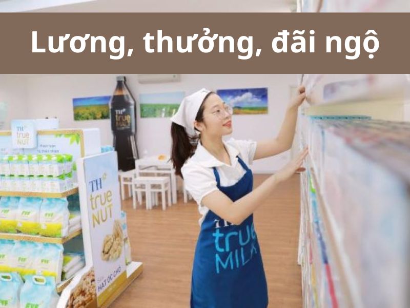 Lương, thưởng và chế độ đãi ngộ tại TH True Milk