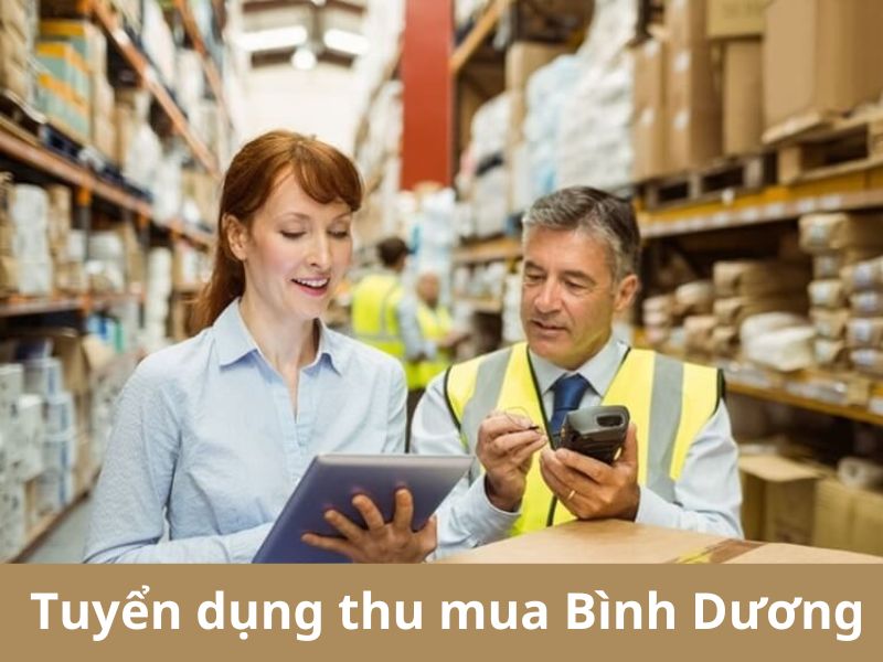 Nhu cầu tuyển dụng thu mua tại Bình Dương 2024 tăng cao